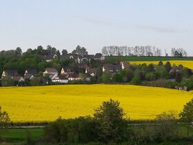 Lotissement HÃ¼neberg, avril 2020