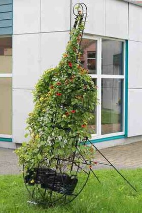 Violoncelle fleuri Place Pflimlin (2014)